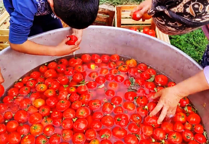 فیلم آموزش رب گوجه فرنگی
